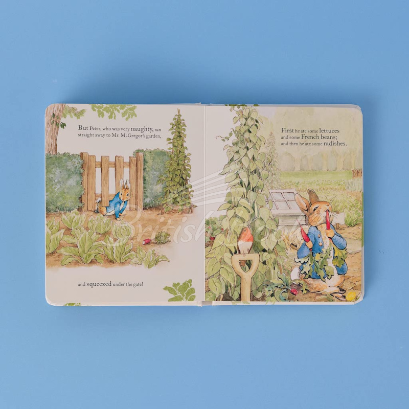 Книга The Tale of Peter Rabbit (A Picture Book Edition) зображення 2