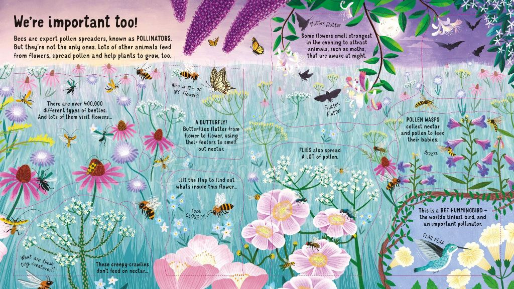 Книга Look Inside the World of Bees зображення 1