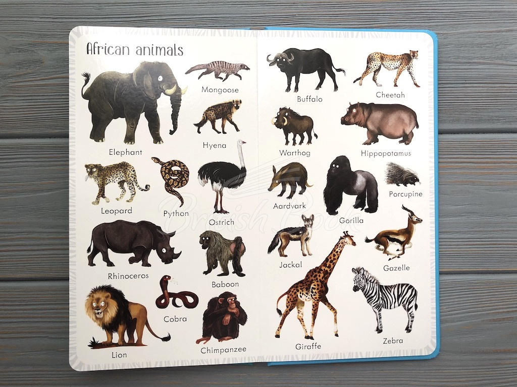 Книга 199 Animals зображення 7