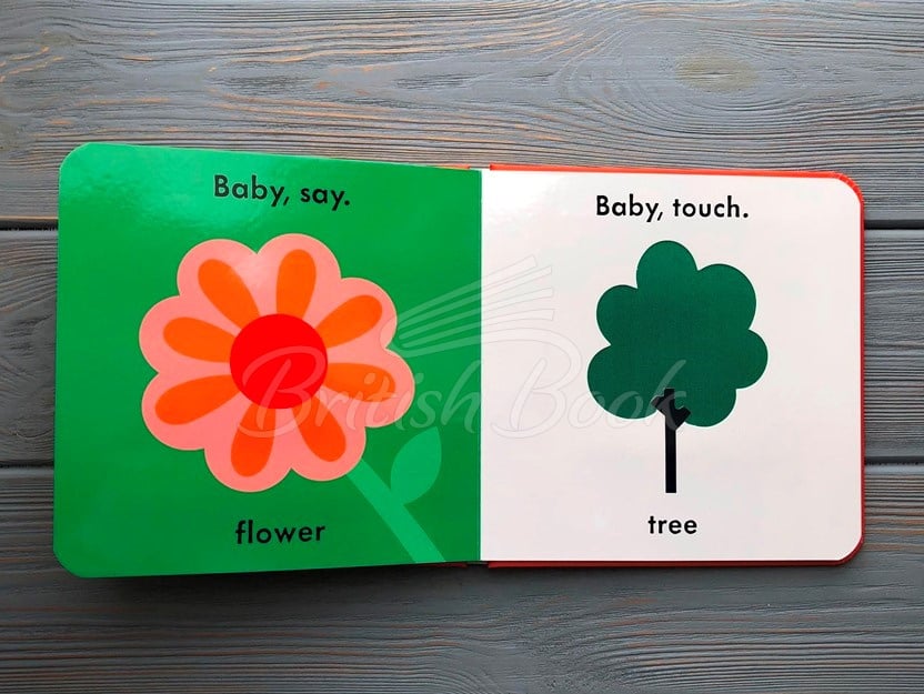 Книга Baby Touch: Words (A Touch-and-Feel Playbook) зображення 3