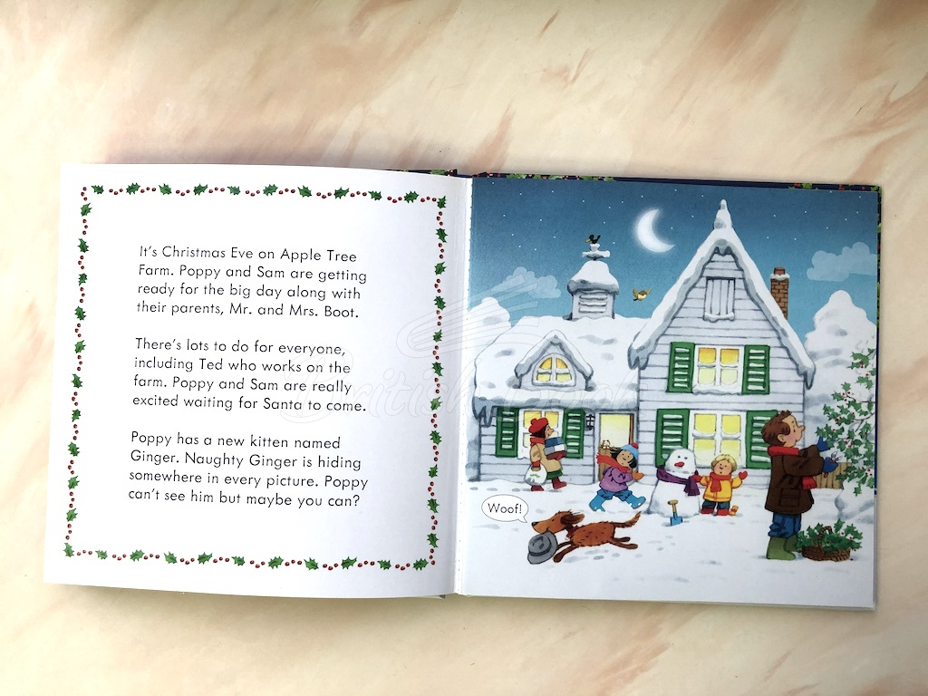 Книга Poppy and Sam's Lift-the-Flap Christmas зображення 2