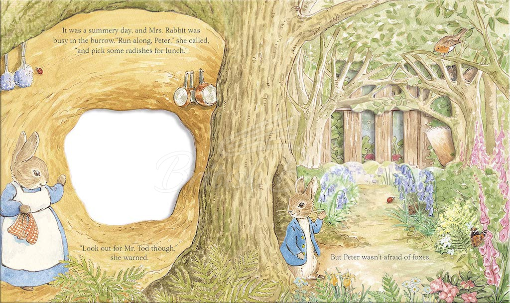 Книга Peter Rabbit: The Lost Hat (A Peep-Inside Tale) зображення 1