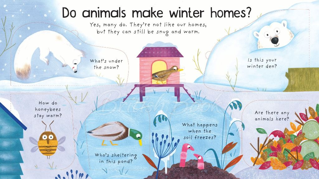 Книга Lift-the-Flap First Questions and Answers: Where Do Animals Go In Winter? зображення 2