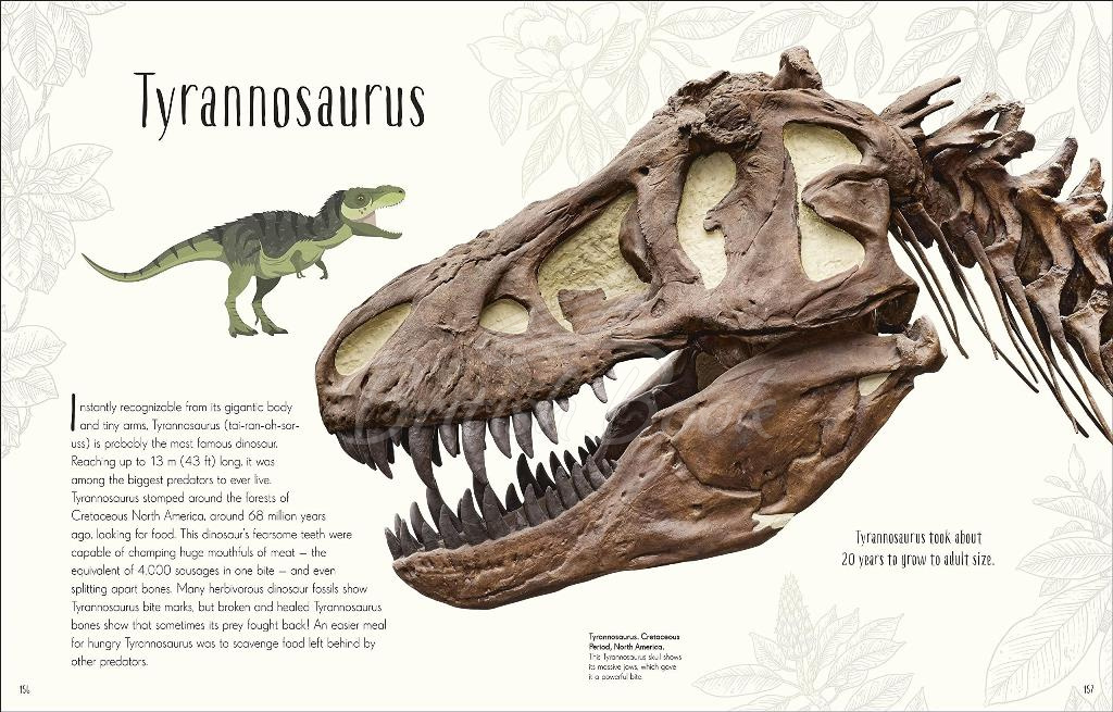Книга Dinosaurs and Other Prehistoric Life зображення 9