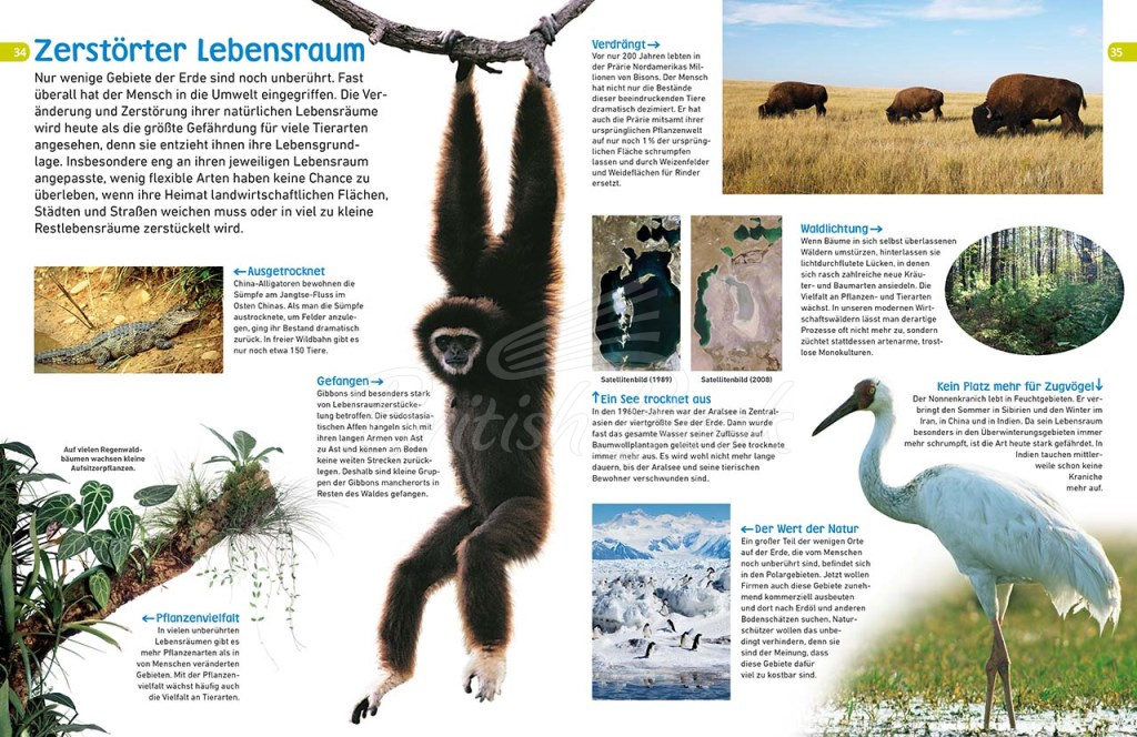 Книга memo Wissen entdecken: Bedrohte Tiere зображення 5