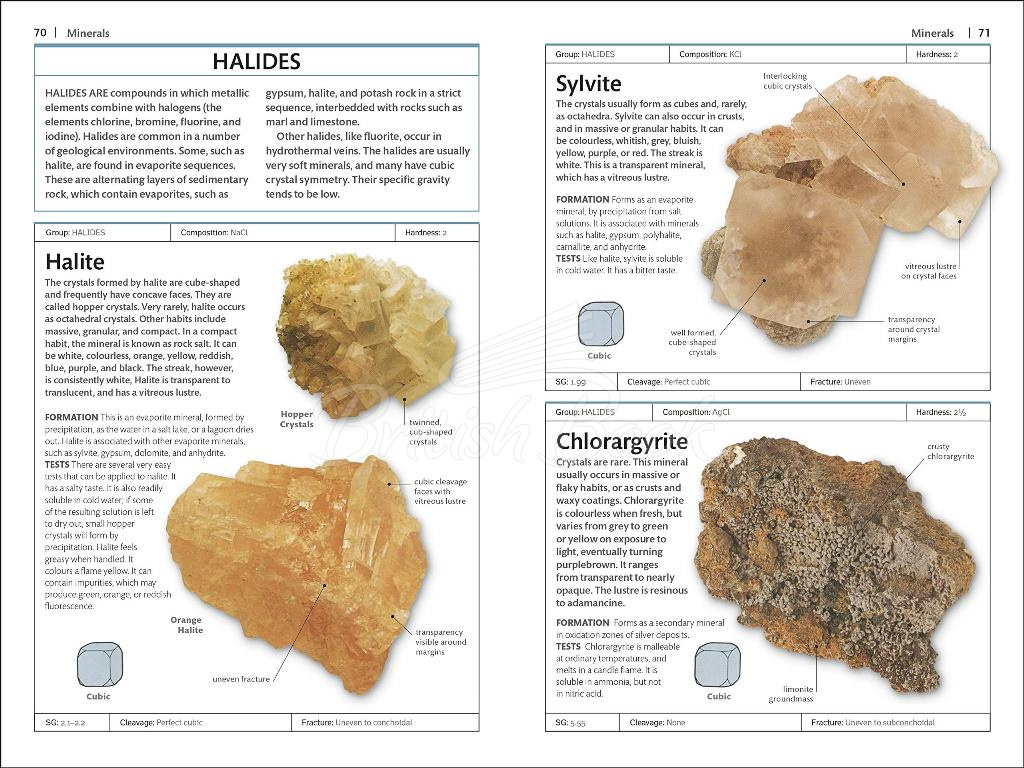 Книга Rocks and Minerals зображення 5