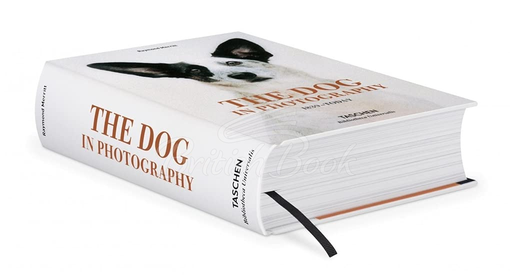 Книга The Dog in Photography 1839–Today зображення 2
