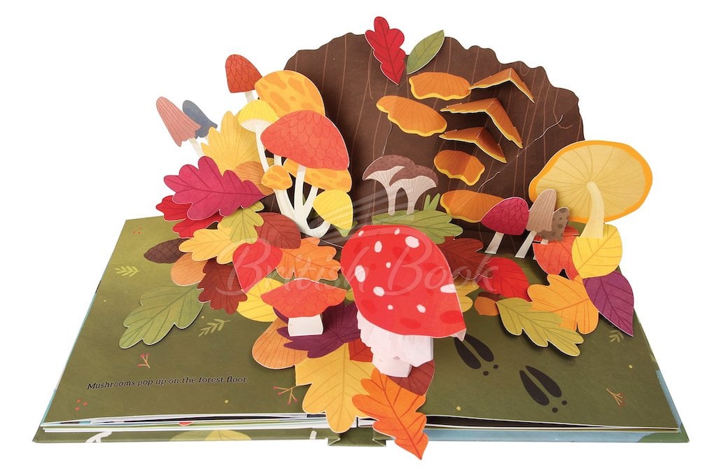 Книга Leaves: An Autumn Pop-Up Book зображення 4