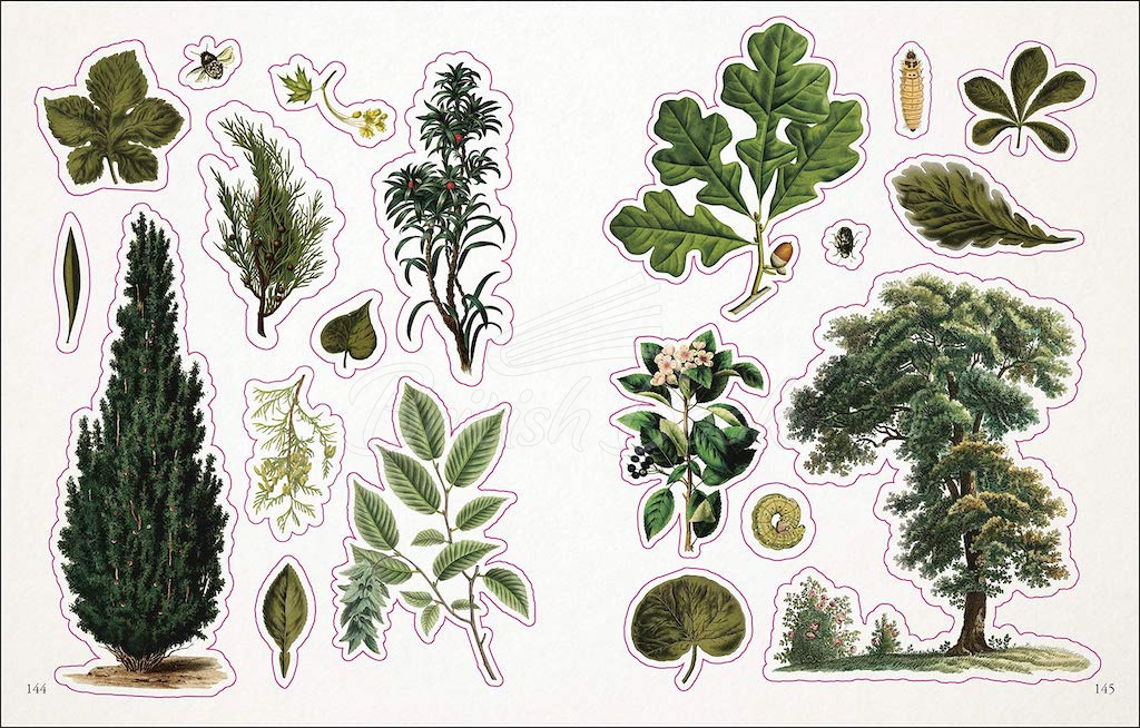 Книга The Botanist's Sticker Anthology зображення 2