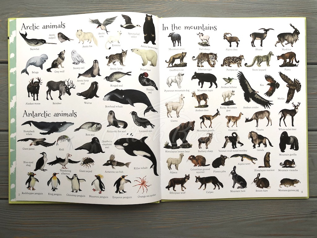 Книга 1000 Animals зображення 2