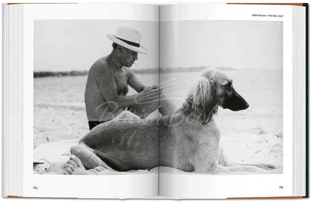 Книга The Dog in Photography 1839–Today зображення 5