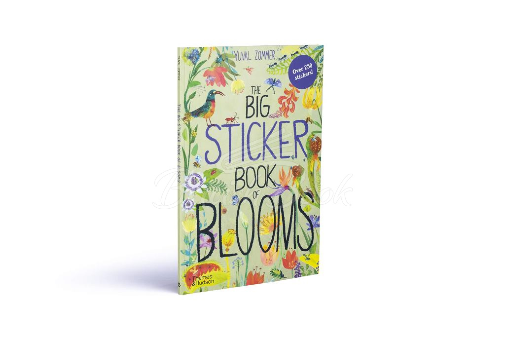 Книга The Big Sticker Book of Blooms зображення 1