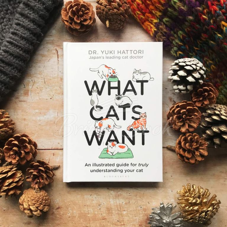 Книга What Cats Want: An Illustrated Guide for Truly Understanding Your Cat зображення 1