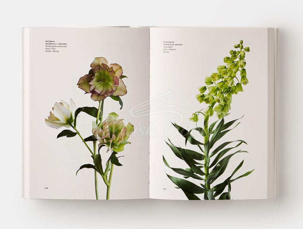Книга Flower Colour Guide зображення 2