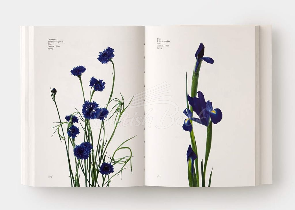 Книга Flower Colour Guide зображення 5