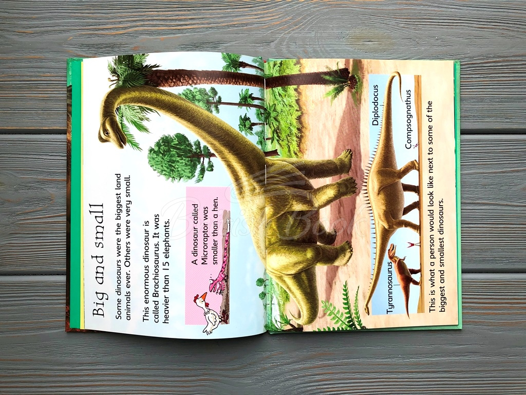 Книга Usborne Beginners Dinosaurs зображення 4