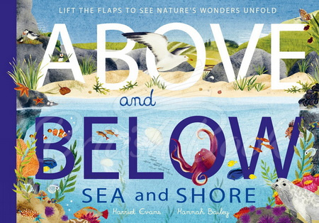 Книга Above and Below: Sea and Shore зображення