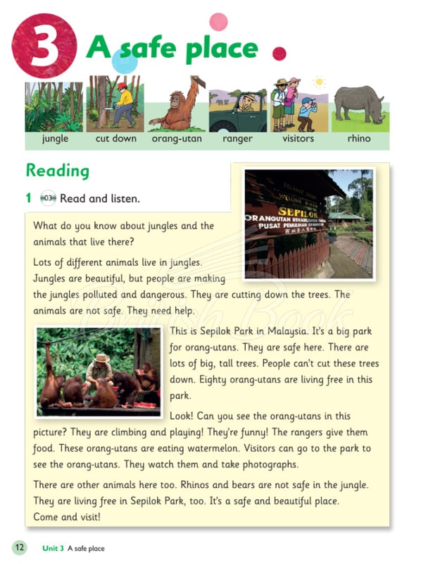 Книга Oxford Primary Skills: Reading and Writing 3 зображення 2