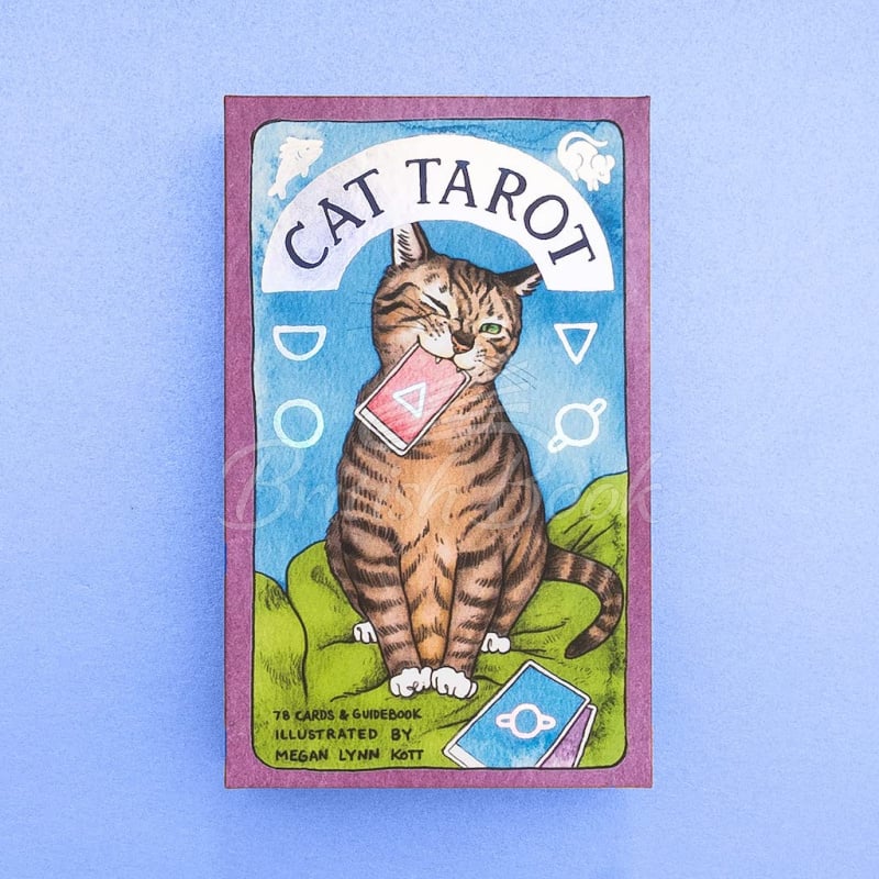 Карти таро Cat Tarot зображення 1