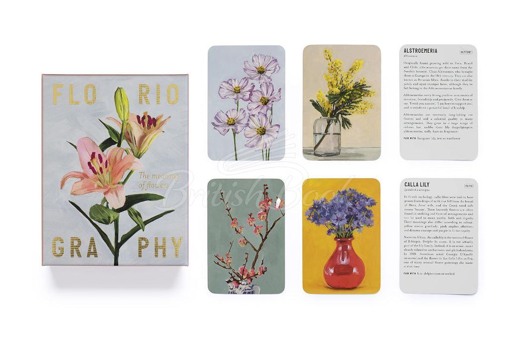 Картки Floriography: The Meaning of Flowers Cards зображення 4
