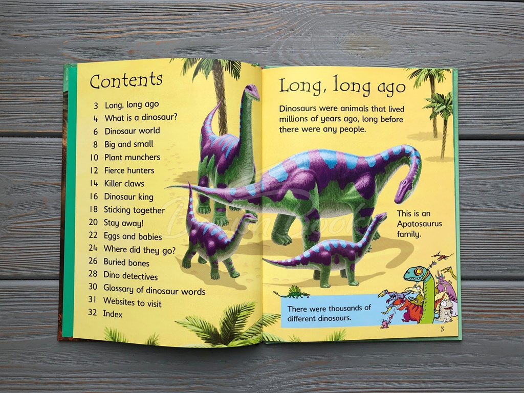 Книга Usborne Beginners Dinosaurs зображення 1