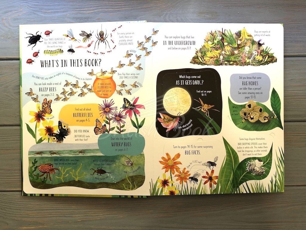 Книга Lift-the-Flap Bugs and Butterflies зображення 2