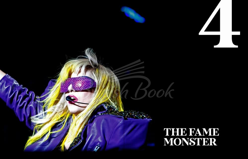 Книга Lady Gaga: Applause зображення 5