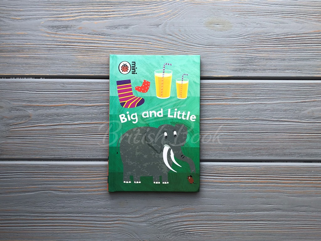 Книга Early Learning: Big and Little зображення 4