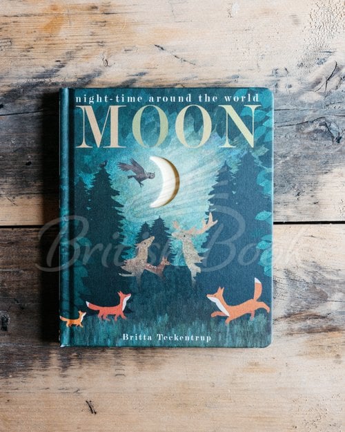 Книга Moon: Night-time around the World зображення 1