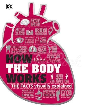 Книга How the Body Works изображение