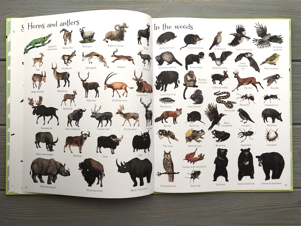 Книга 1000 Animals зображення 7