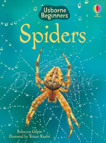 Книга Usborne Beginners Spiders зображення