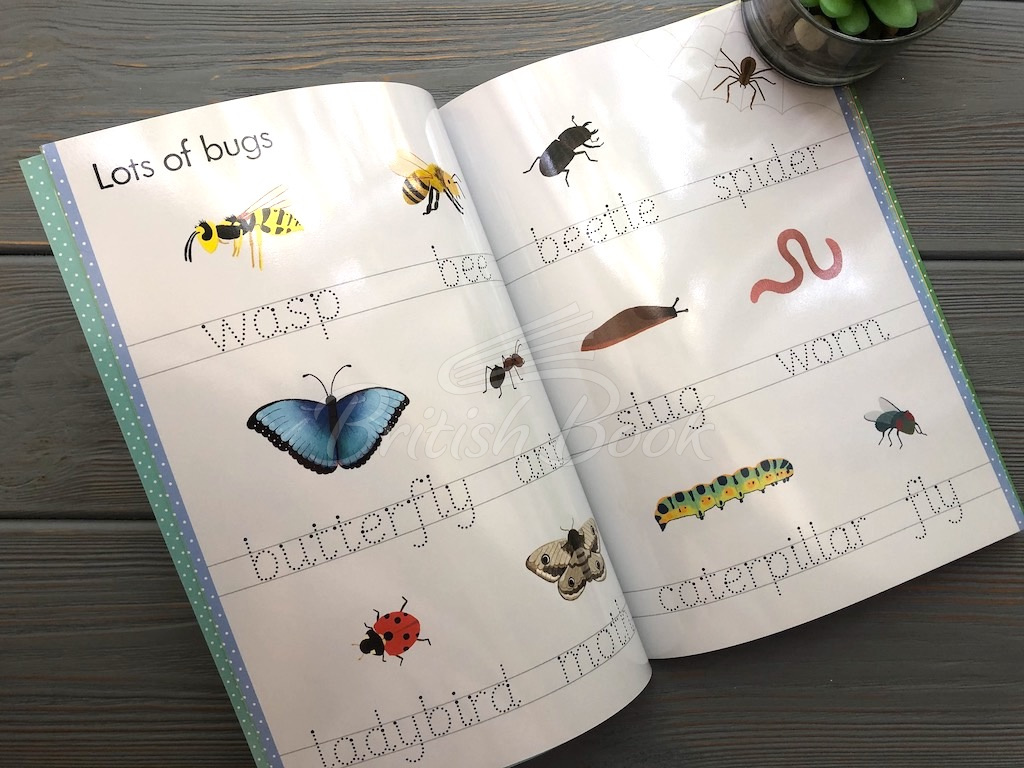 Книга Little Wipe-Clean Word Book: Outdoors зображення 7