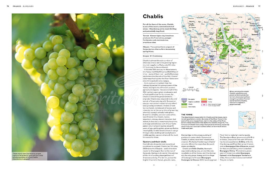 Книга The World Atlas of Wine зображення 2