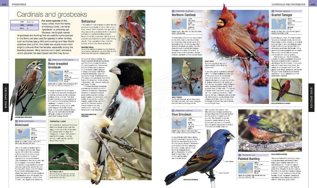 Книга Bird: The Definitive Visual Guide зображення 1