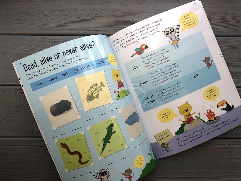 Книга Wipe-Clean Finding out about Animals (Age 6 to 7) зображення 6