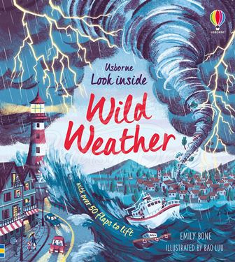 Книга Look inside Wild Weather зображення