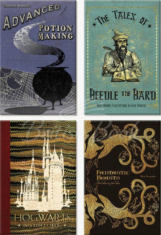 Набір Hogwarts Book Covers Magnet Set зображення