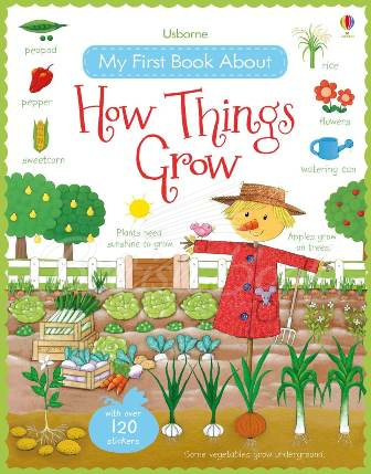 Книга My First Book about How Things Grow зображення