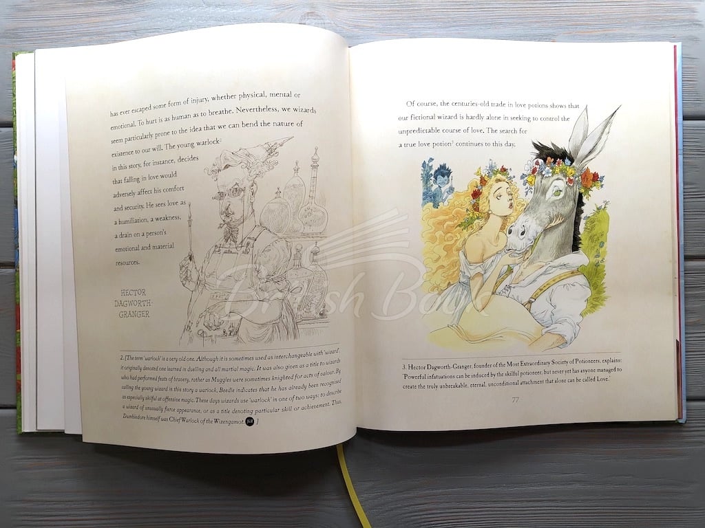 Книга The Tales of Beedle the Bard (Illustrated Edition) зображення 13