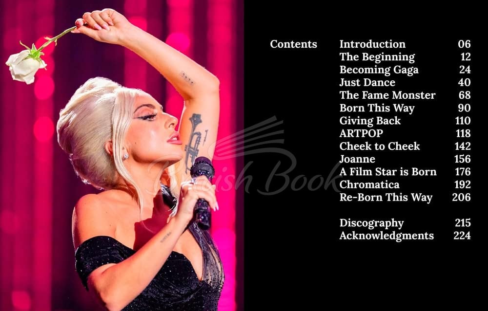 Книга Lady Gaga: Applause зображення 6