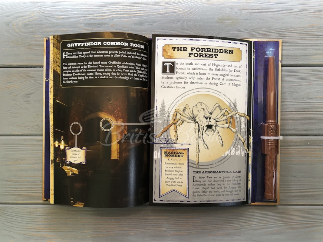 Книга Harry Potter: The Marauder's Map Guide to Hogwarts зображення 1