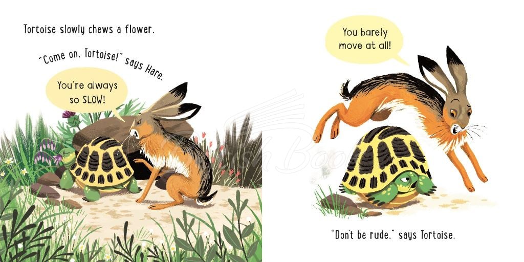 Книга The Hare and the Tortoise зображення 3