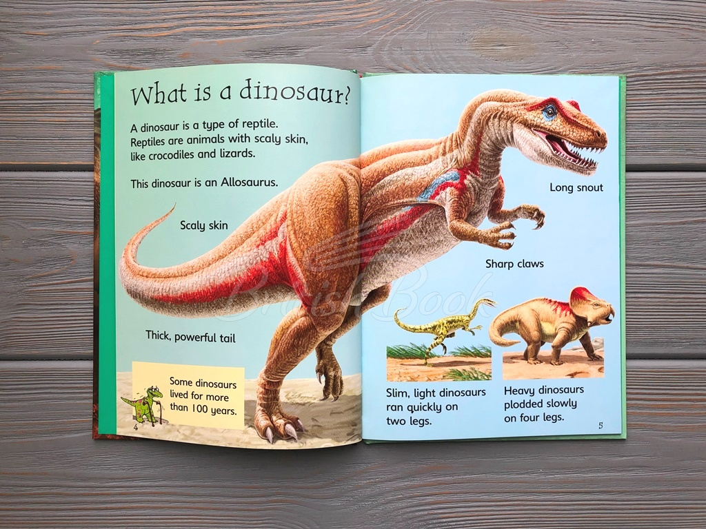 Книга Usborne Beginners Dinosaurs зображення 2