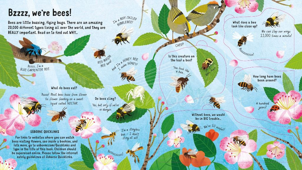 Книга Look Inside the World of Bees зображення 2
