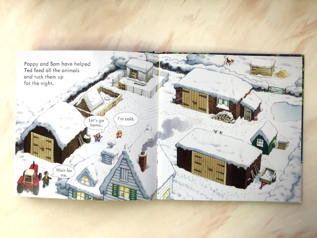 Книга Poppy and Sam's Lift-the-Flap Christmas зображення 3