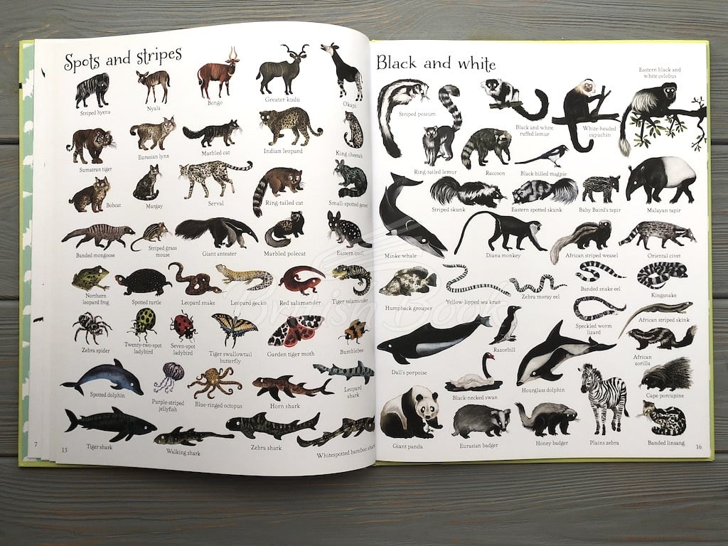 Книга 1000 Animals зображення 6