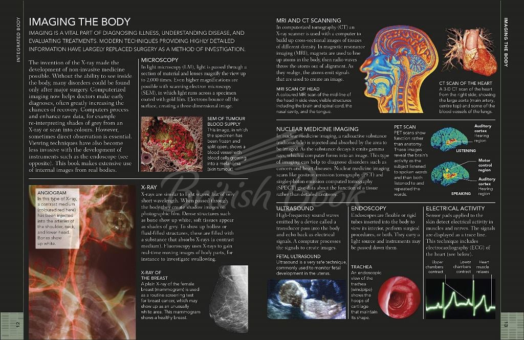 Книга The Concise Human Body Book зображення 1