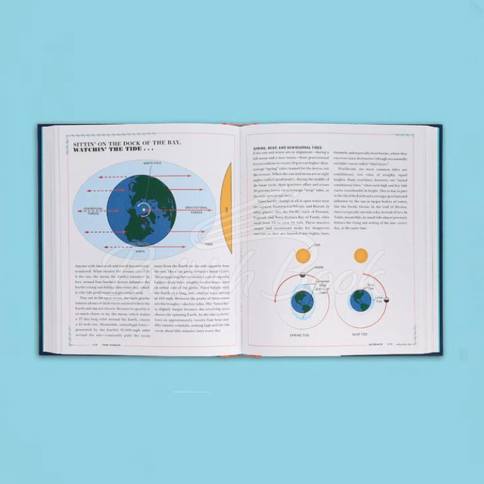 Книга The Ocean: The Ultimate Handbook of Nautical Knowledge зображення 2