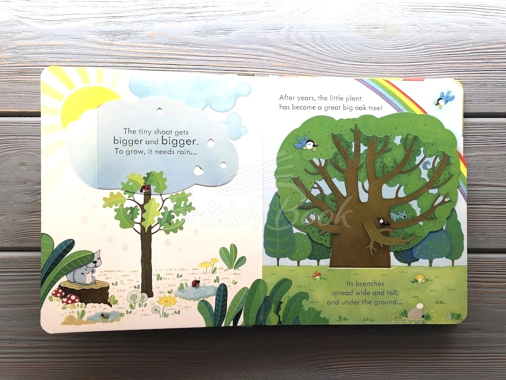 Книга Peep inside a Tree зображення 5